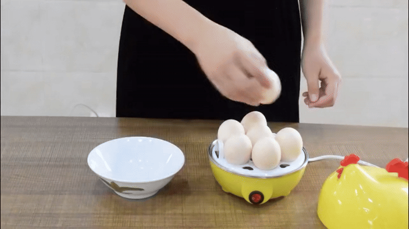 Krawn Electric Egg Steamer